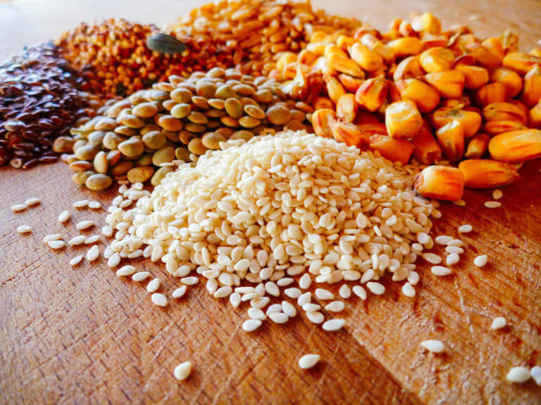 Garden Betty’s Homemade Whole Grain Chicken Feed